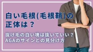 白い毛根（毛根鞘）の正体は？抜け毛の白い塊は抜いていい？AGAのサインとの見分け方