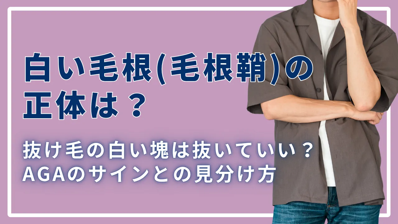 白い毛根（毛根鞘）の正体は？抜け毛の白い塊は抜いていい？AGAのサインとの見分け方