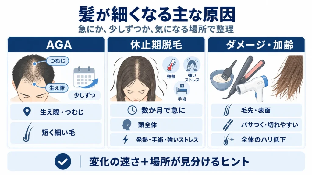 髪が細くなる原因は？急に細くなった場合と少しずつの場合
