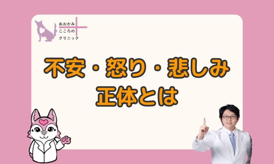 困ってしまう３つの感情の正体｜不安・怒り・悲しみへどう対応するのか